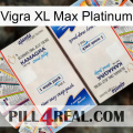 Vigra Xl Max Platinum kamagra1